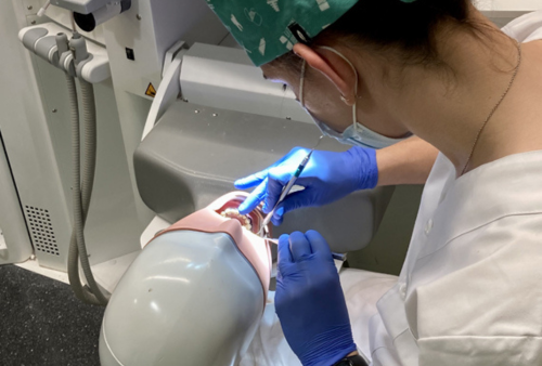 Formación Continua Facultad de Odontología UIC Barcelona - Endodoncia